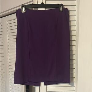 Elegant Purple Women's Skirt